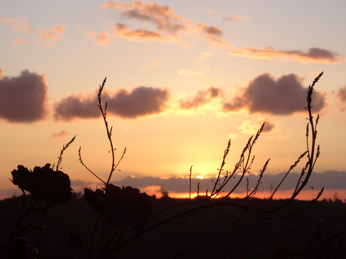 Sonnenuntergang