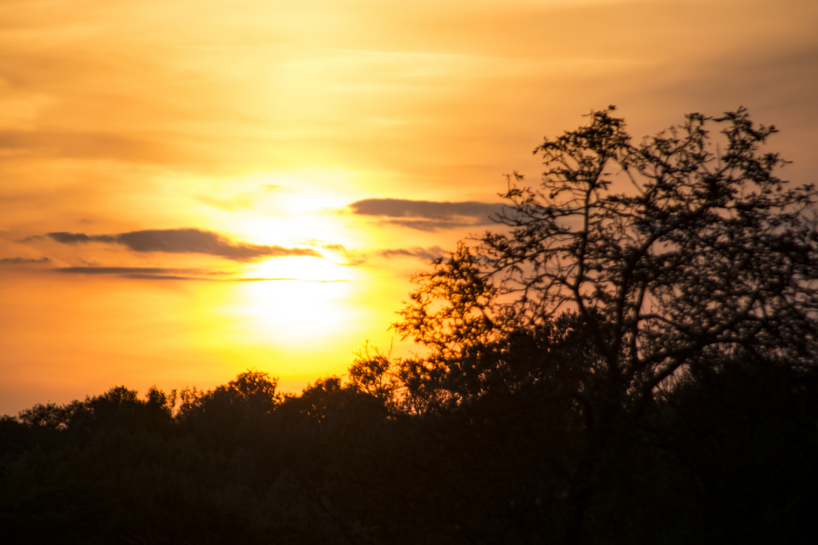 Sonnenuntergang 1-1