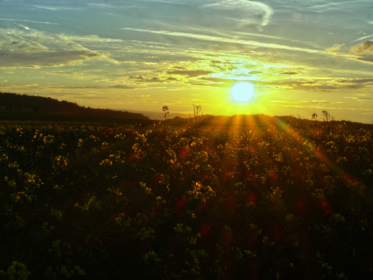 Sonnenuntergang 1