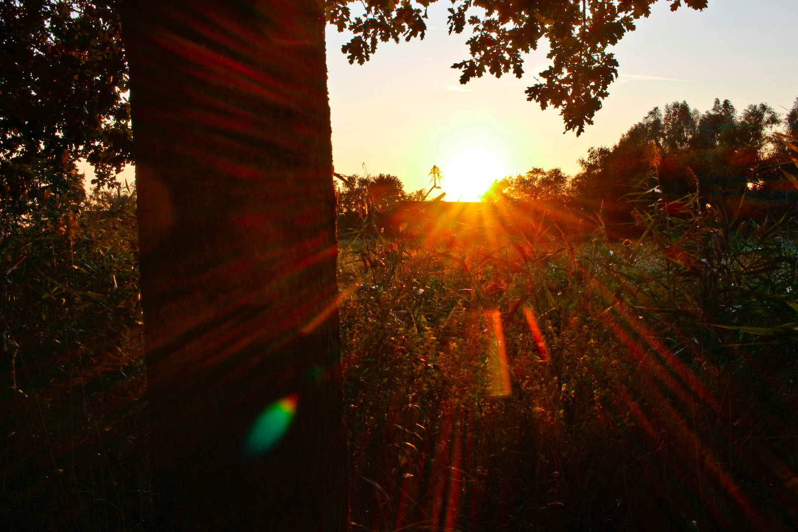 Sonnenuntergang 1