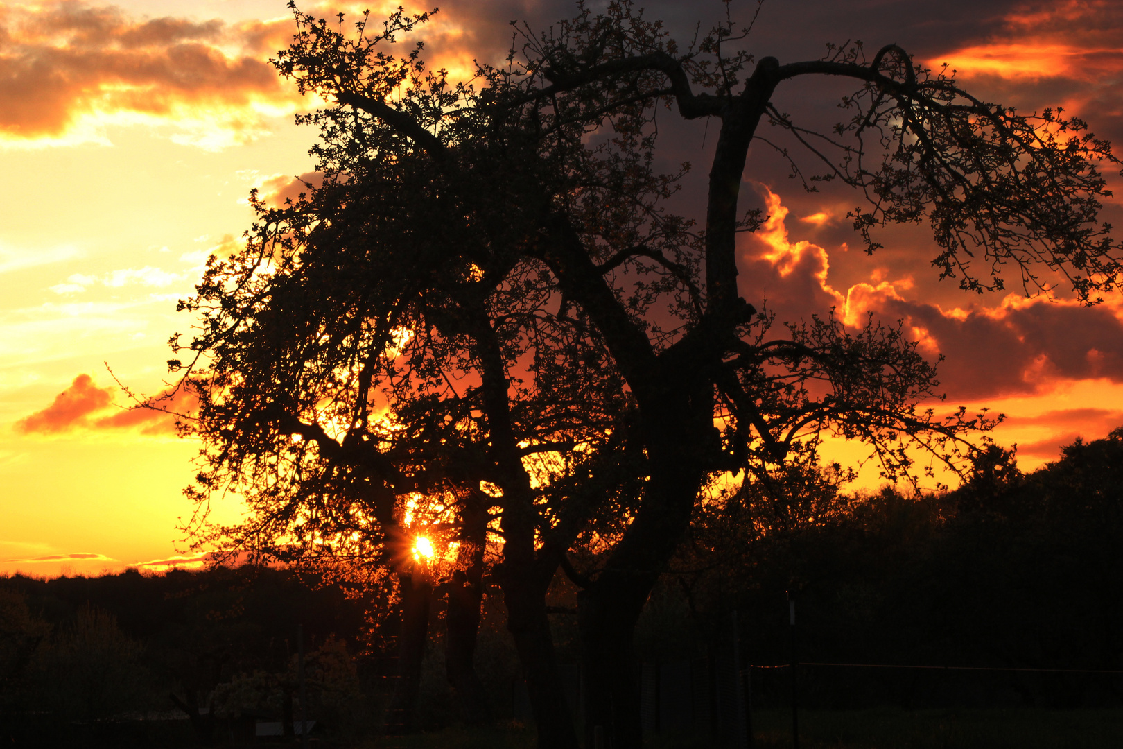 Sonnenuntergang, 1. Mai in Neuenkirchen, Mecklenburg-Vorpommern V