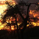 Sonnenuntergang, 1. Mai in Neuenkirchen, Mecklenburg-Vorpommern V