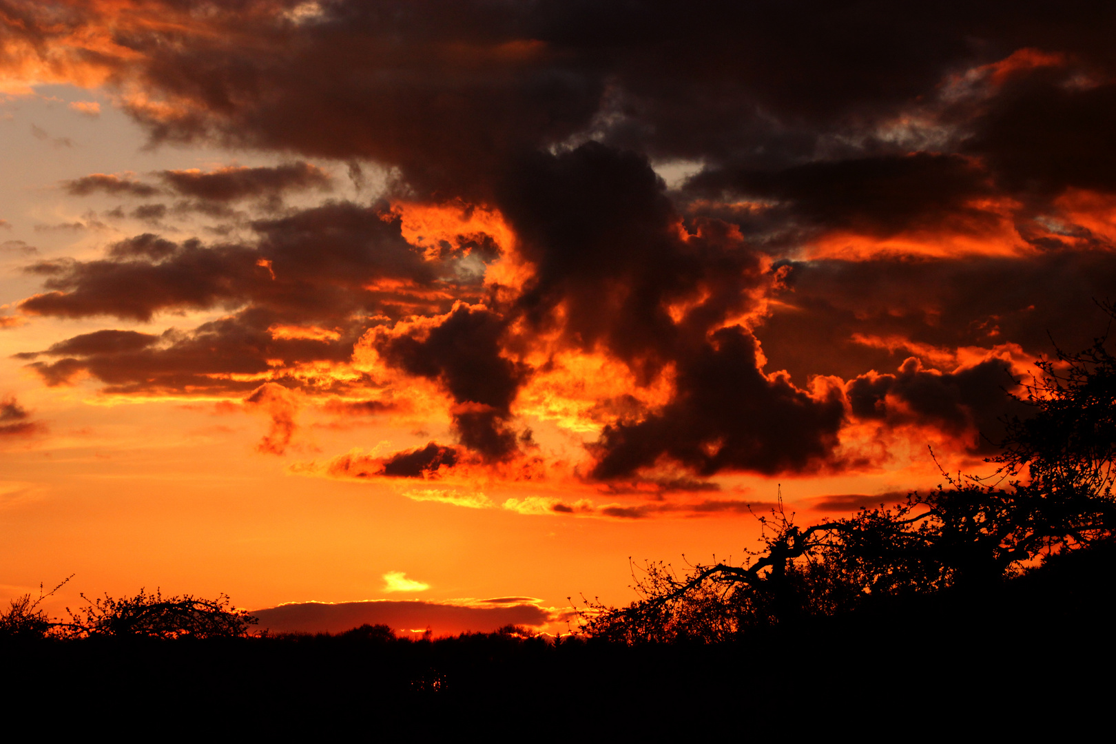 Sonnenuntergang, 1. Mai in Neuenkirchen, Mecklenburg-Vorpommern VIII