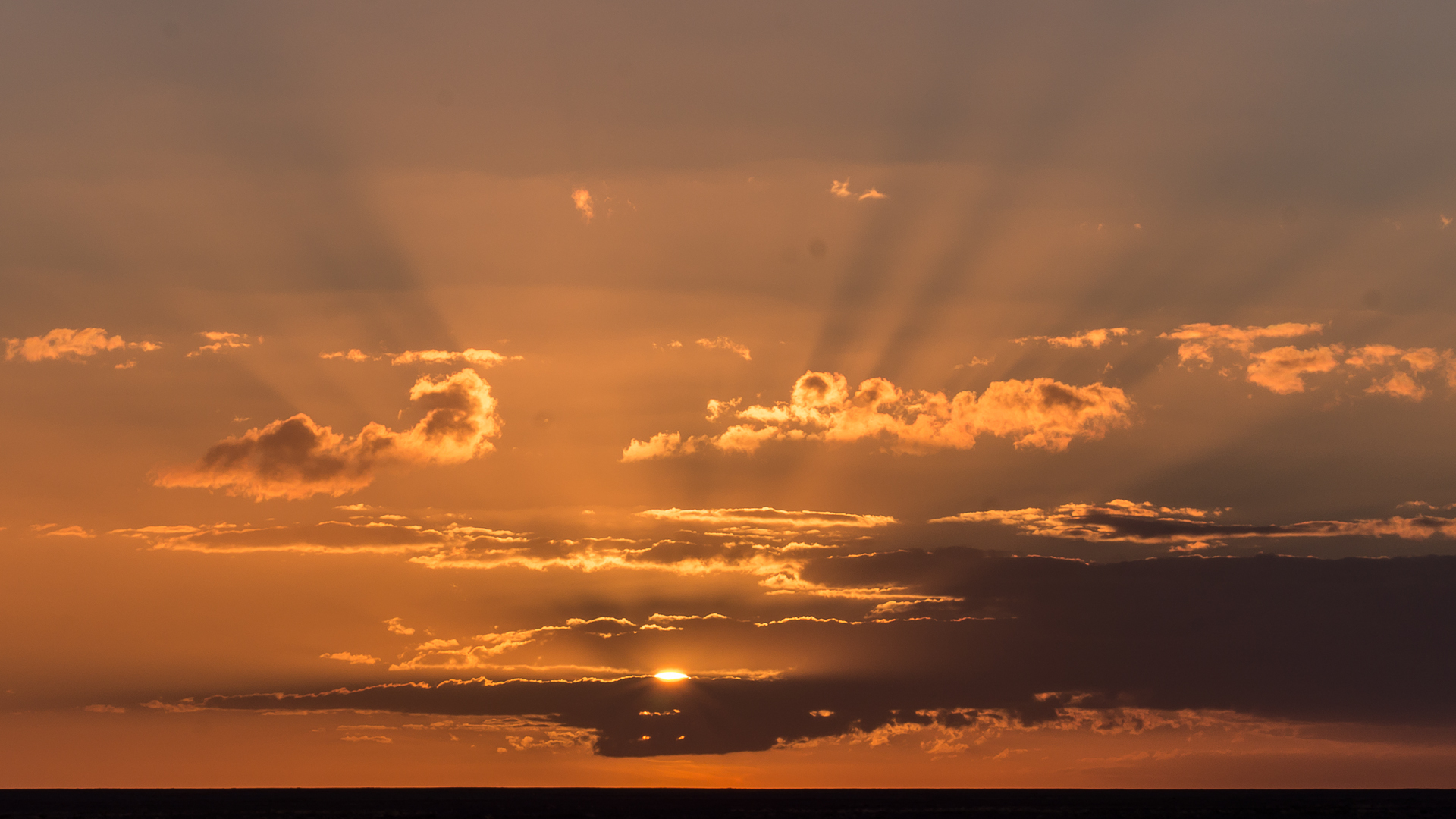 Sonnenuntergang 1 - Westsahara