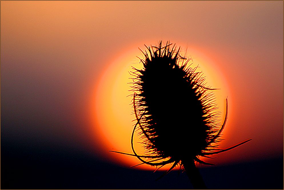 Sonnenuntergang