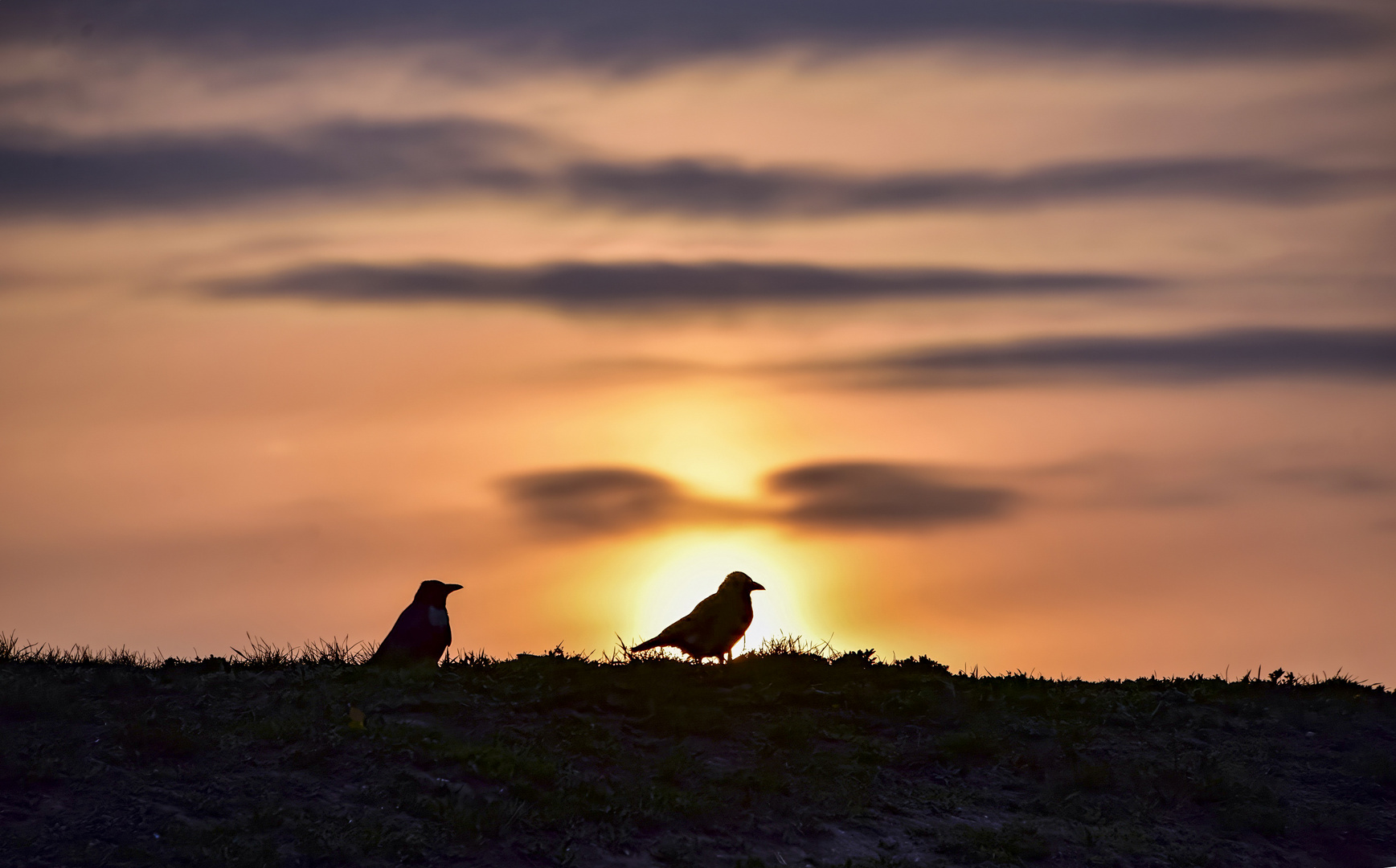 Sonnenuntergang