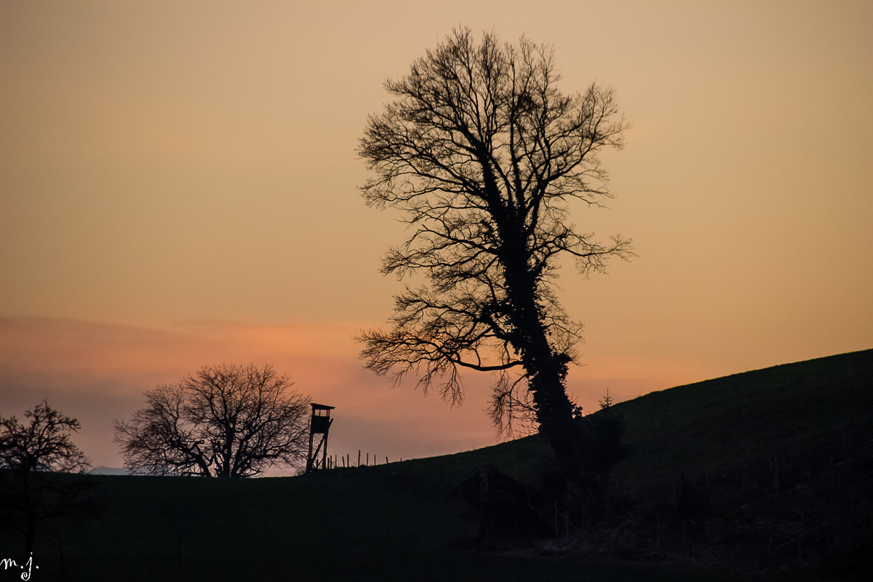 Sonnenuntergang 