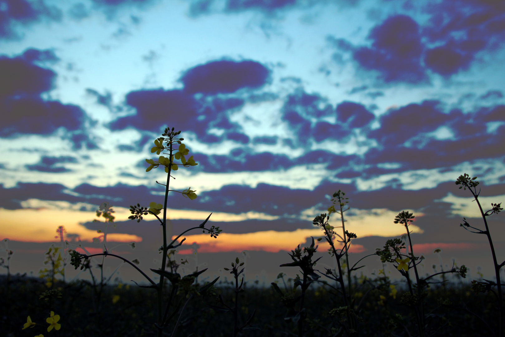 Sonnenuntergang