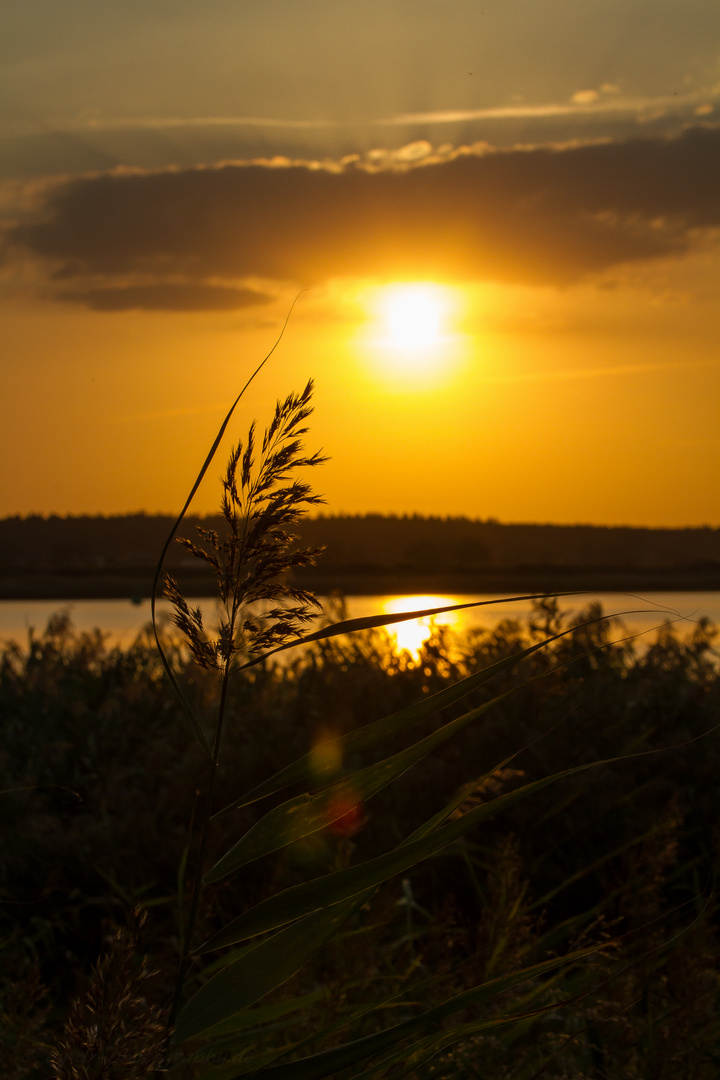 Sonnenuntergang