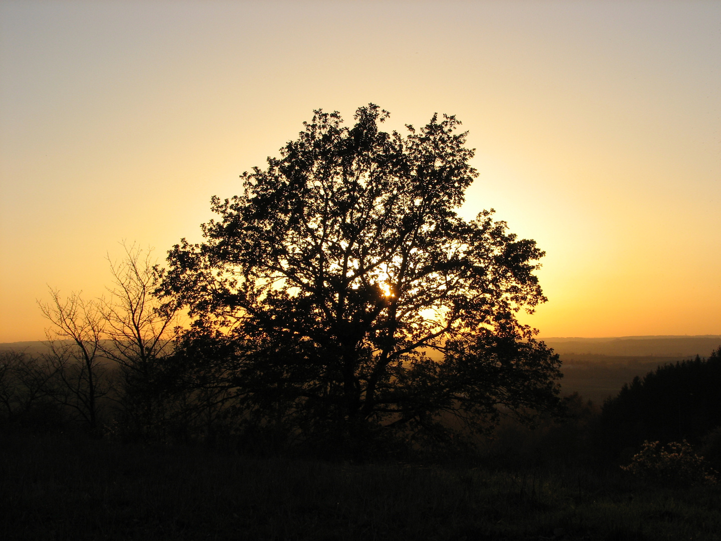 Sonnenuntergang