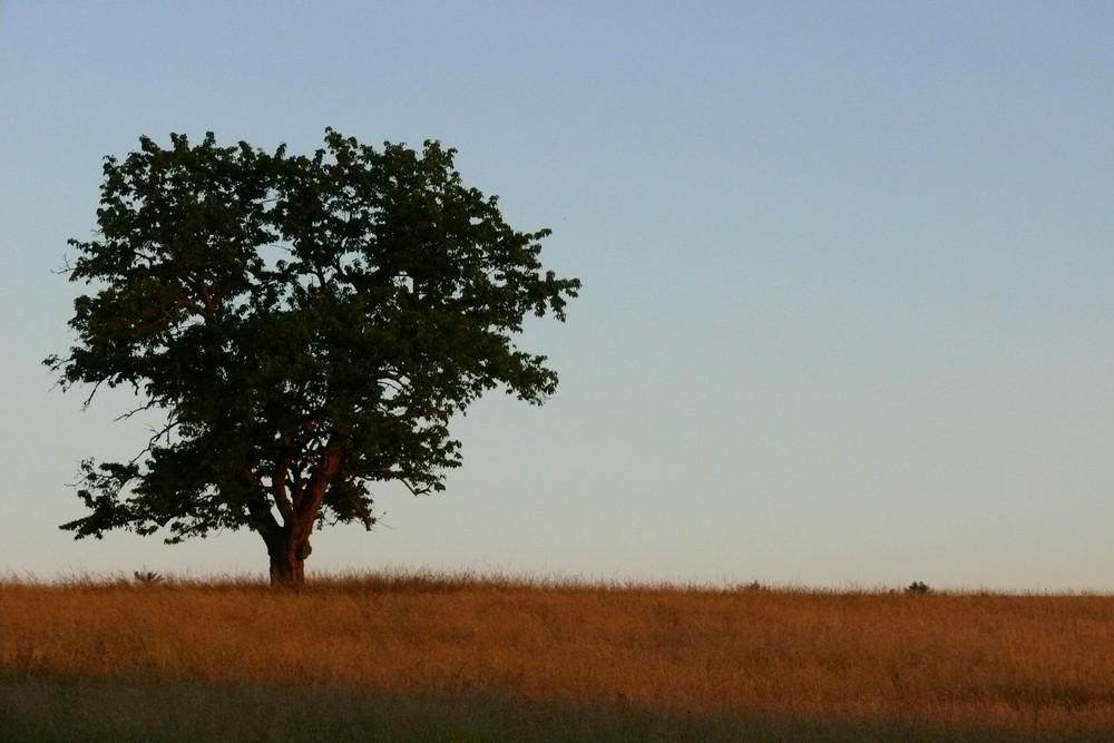 Sonnenuntergang