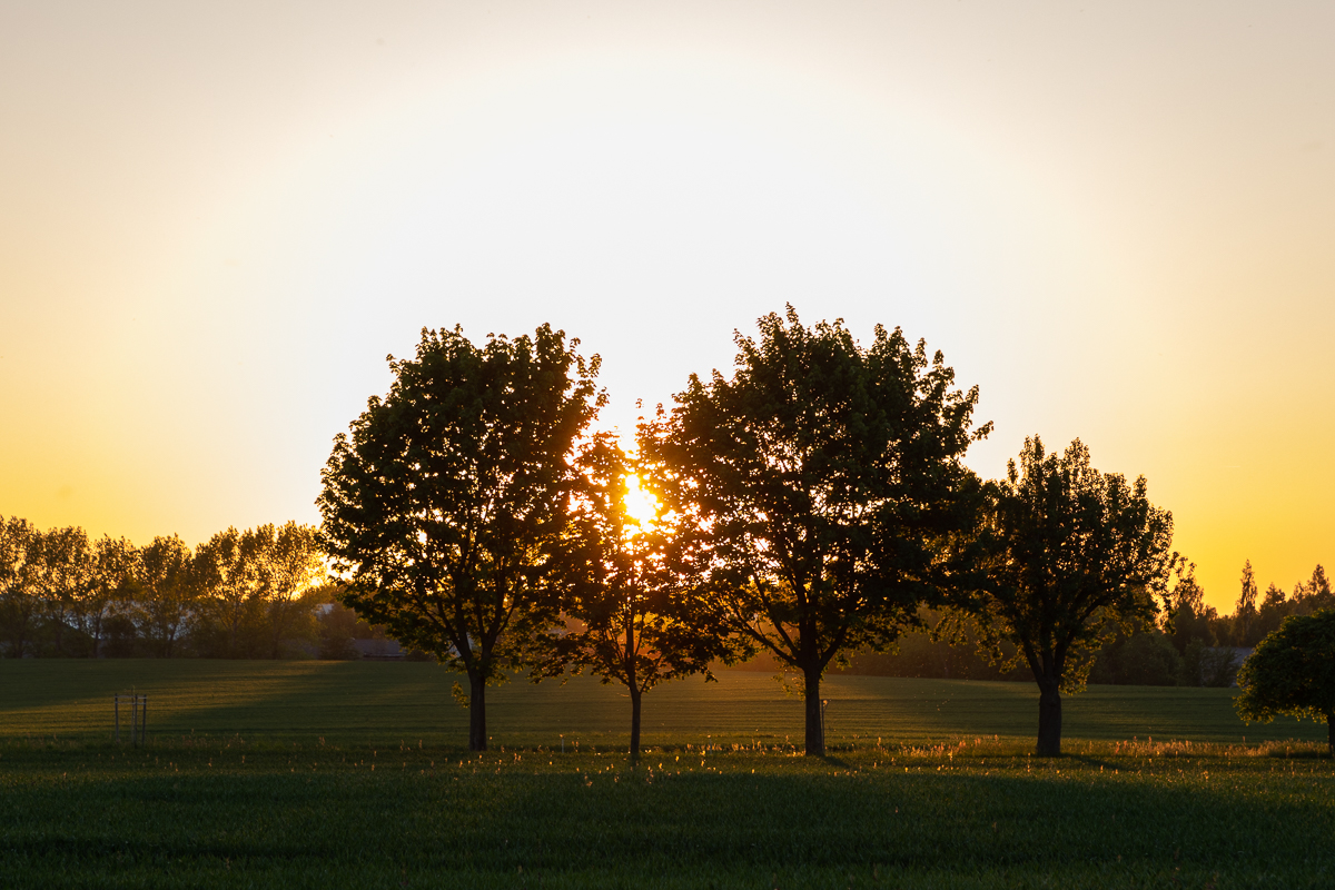 Sonnenuntergang