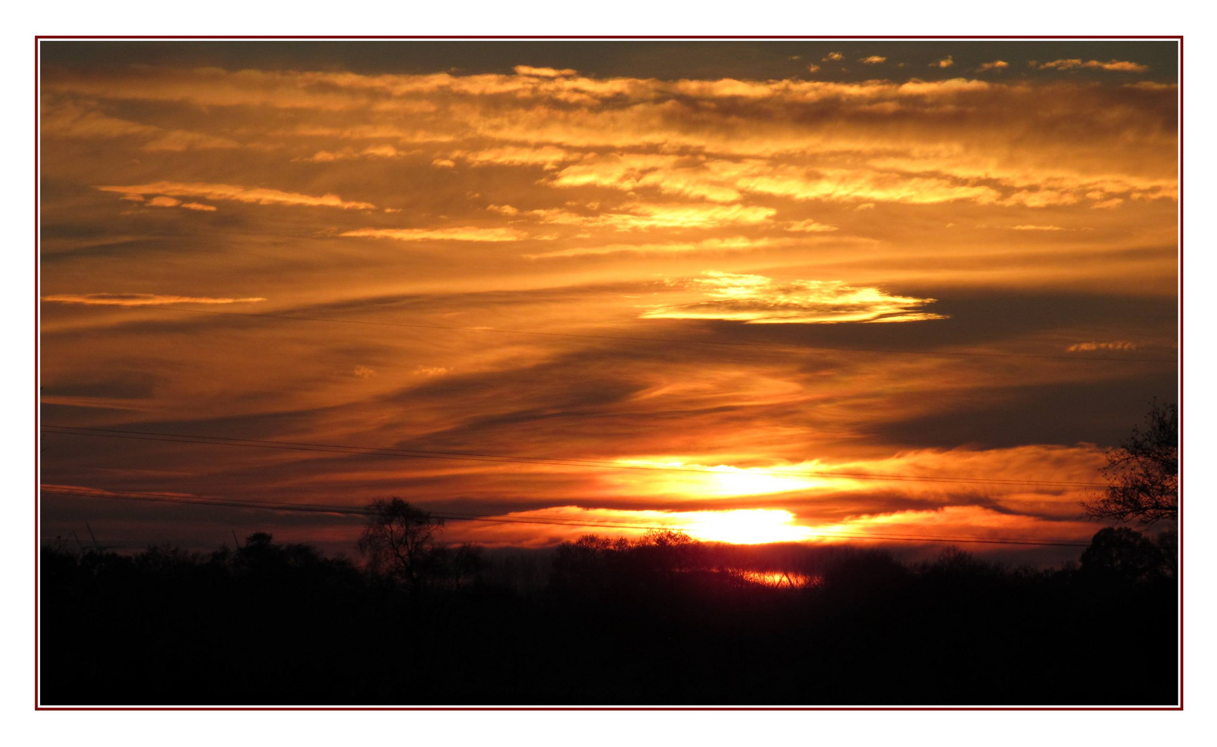 Sonnenuntergang  17. November 2014 im Moor 