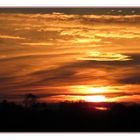 Sonnenuntergang  17. November 2014 im Moor 