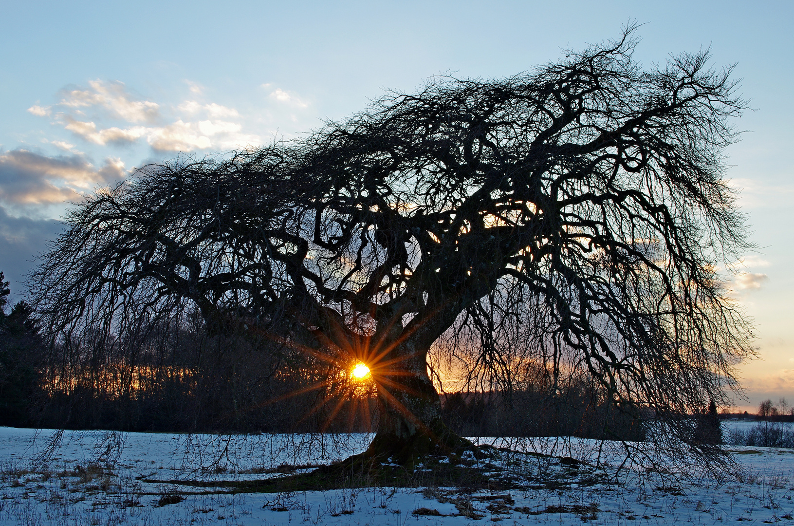 Sonnenuntergang 19.2.16