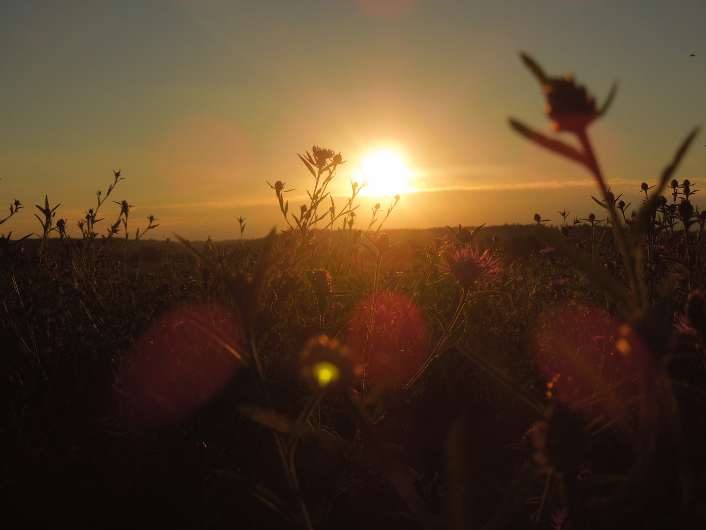 Sonnenuntergang