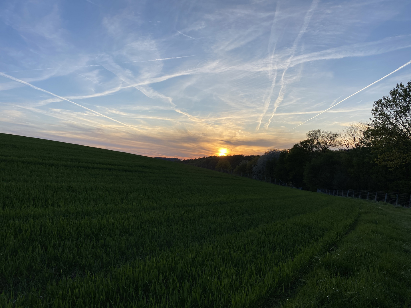 Sonnenuntergang 