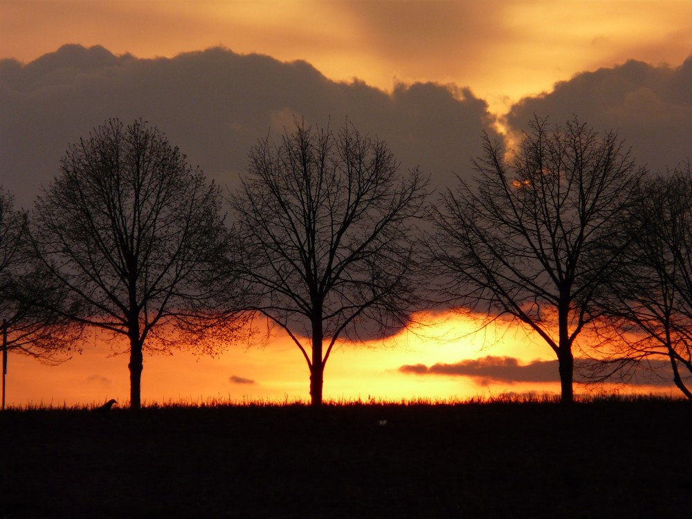 Sonnenuntergang