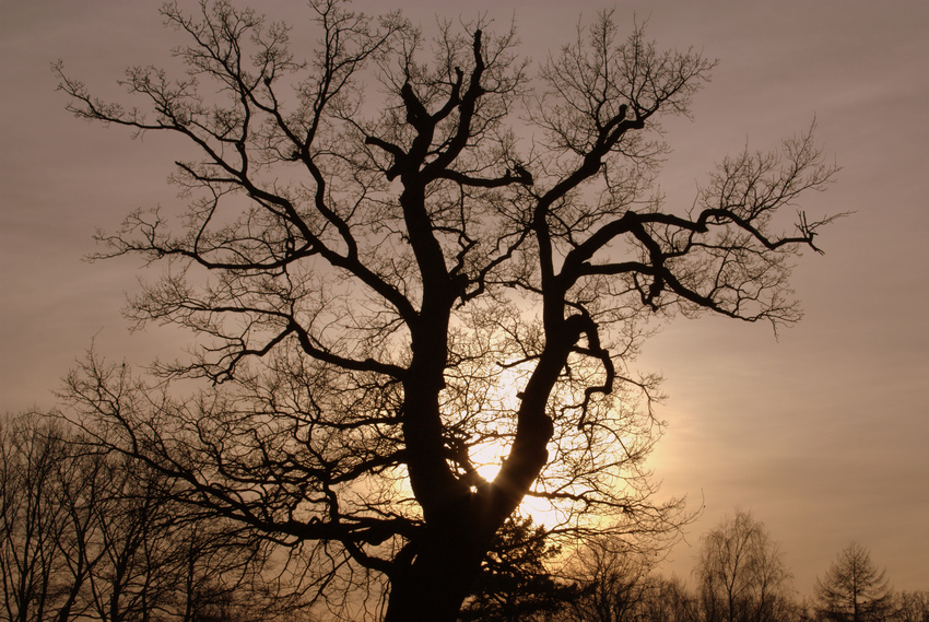 Sonnenuntergang