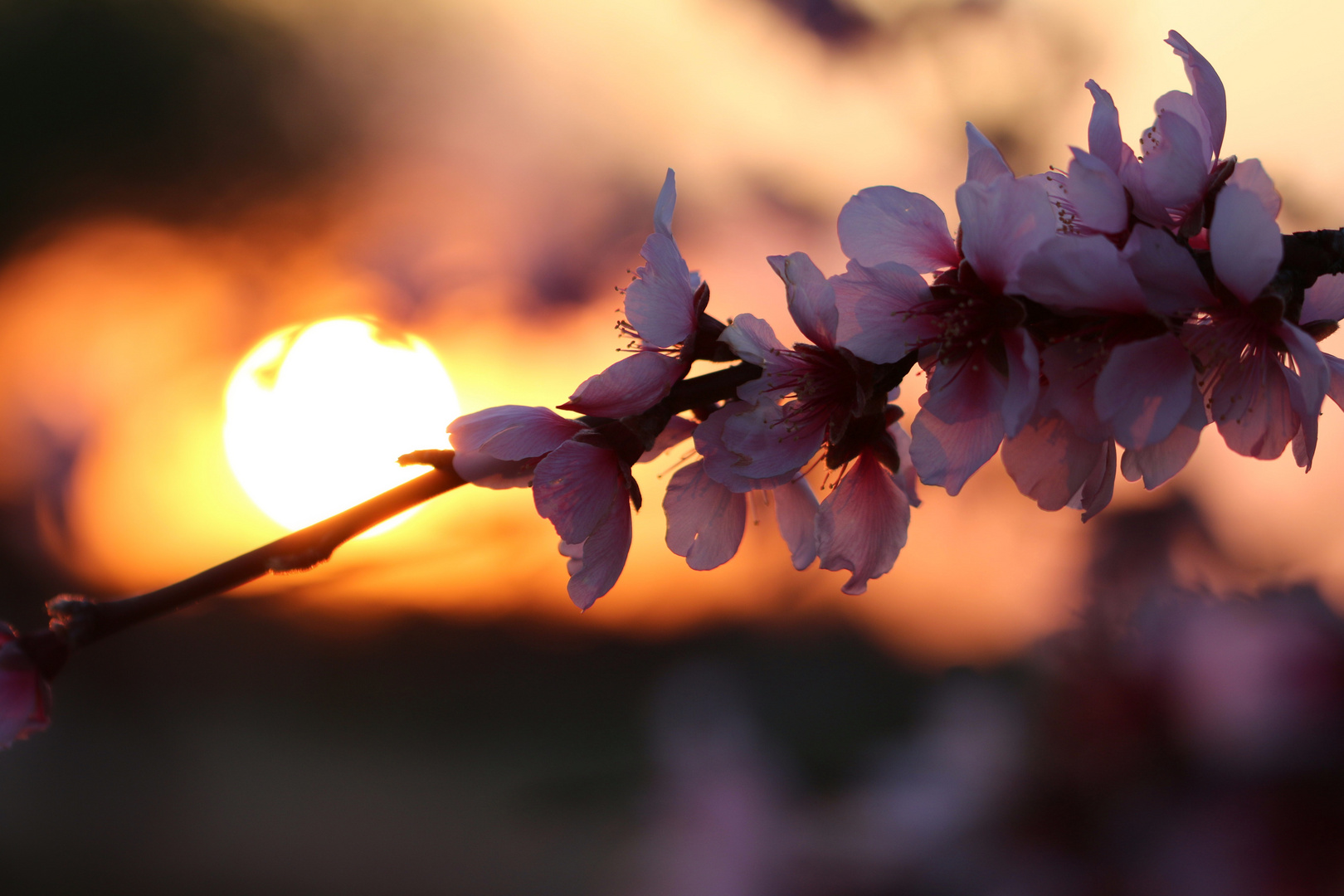 Sonnenuntergang