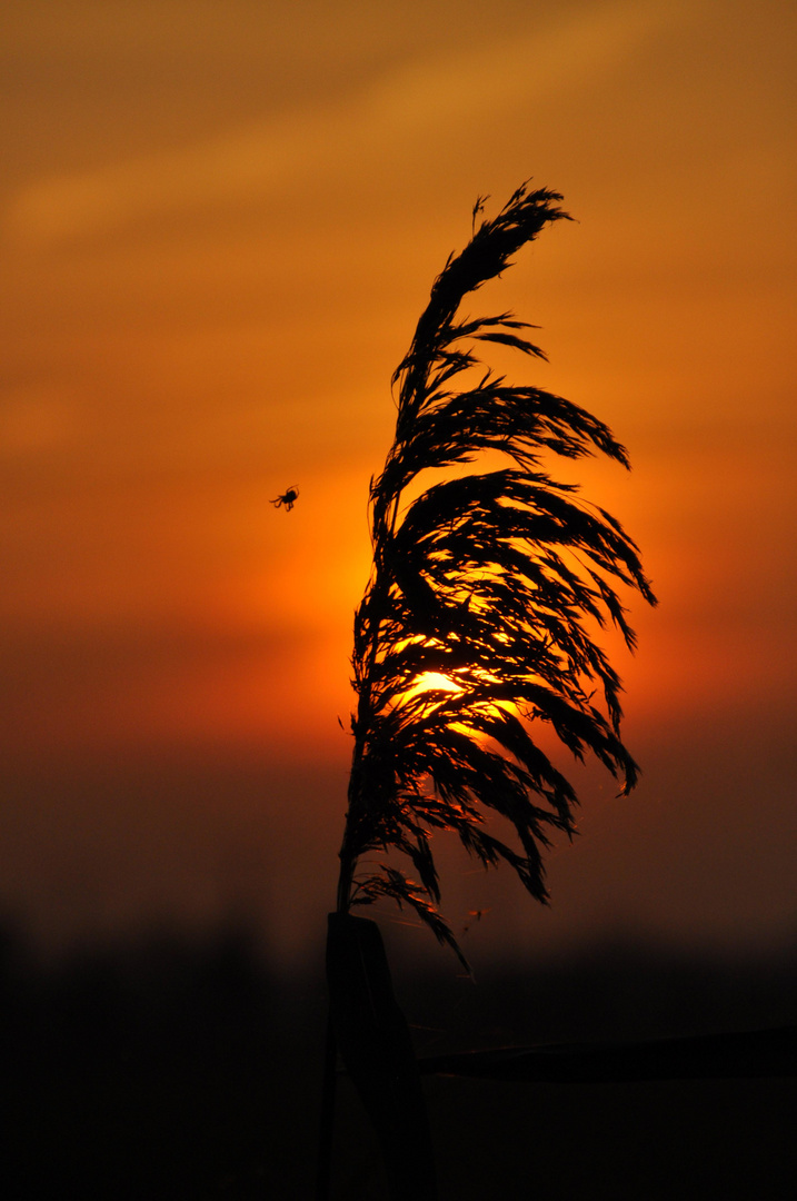 Sonnenuntergang