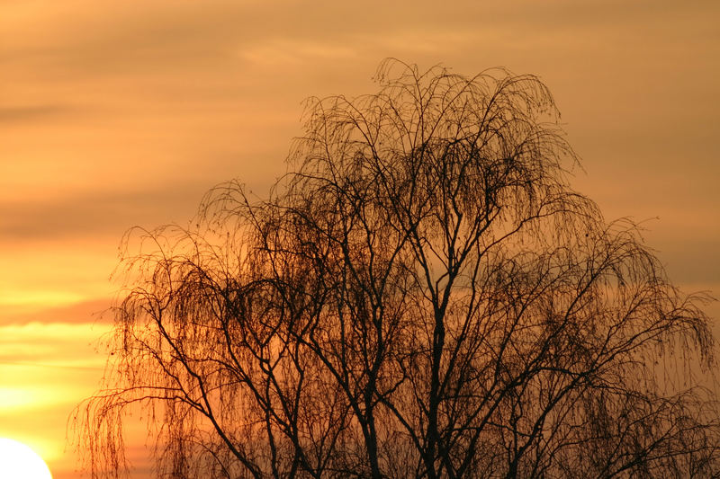 Sonnenuntergang