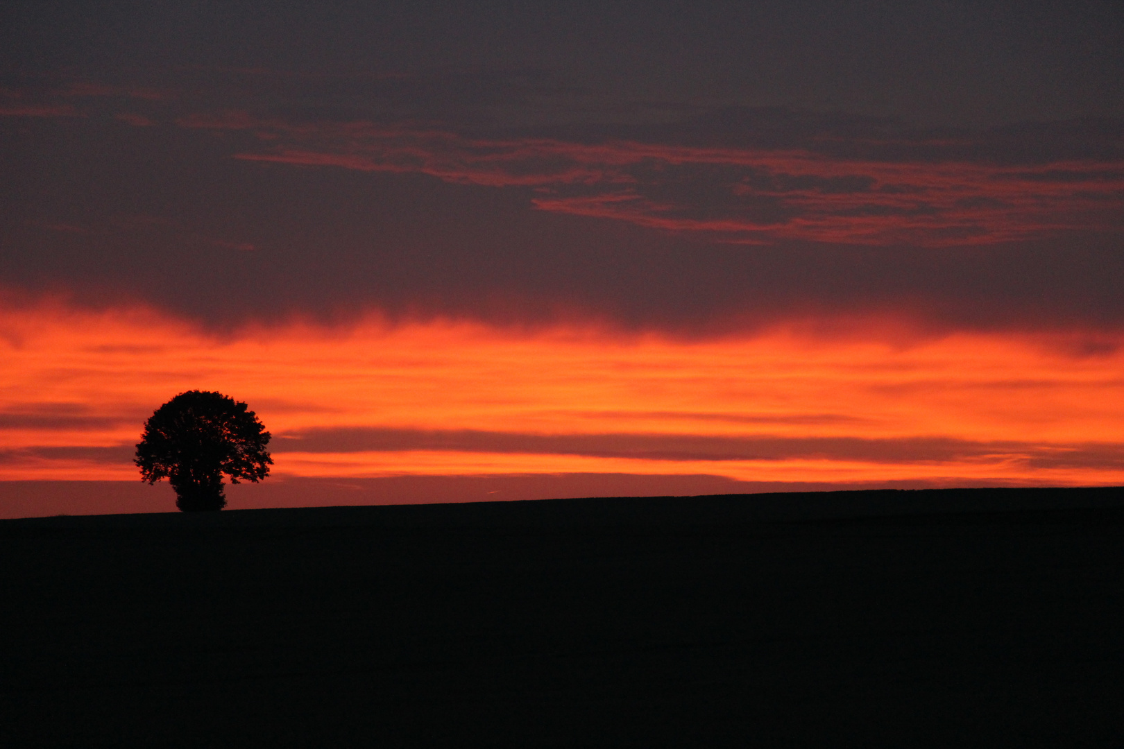 Sonnenuntergang (1von2)