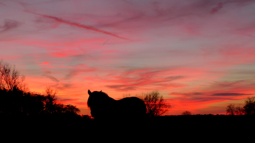 Sonnenuntergang-2-