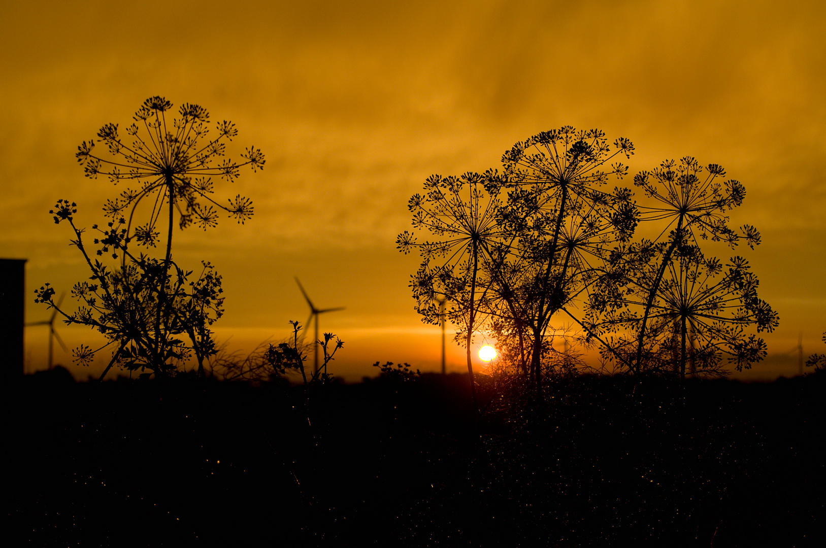 Sonnenuntergang 2