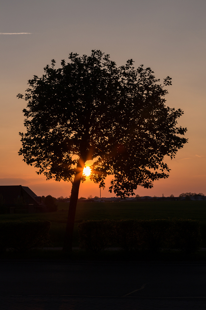 Sonnenuntergang #2