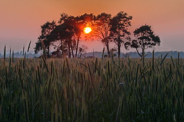 Sonnenuntergang - 2. Versuch