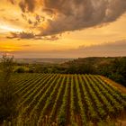 Sonnenuntergang 2 Weinberge