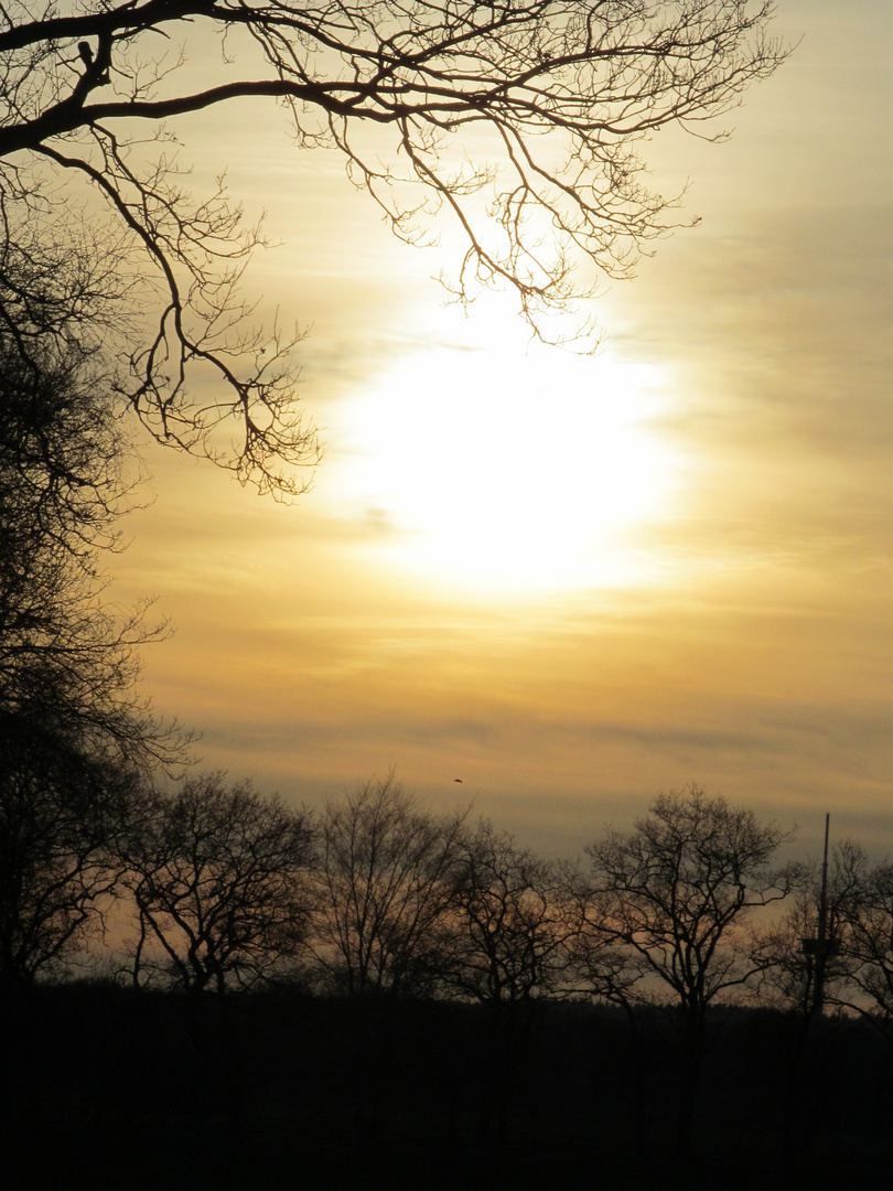 Sonnenuntergang 20.03.2014