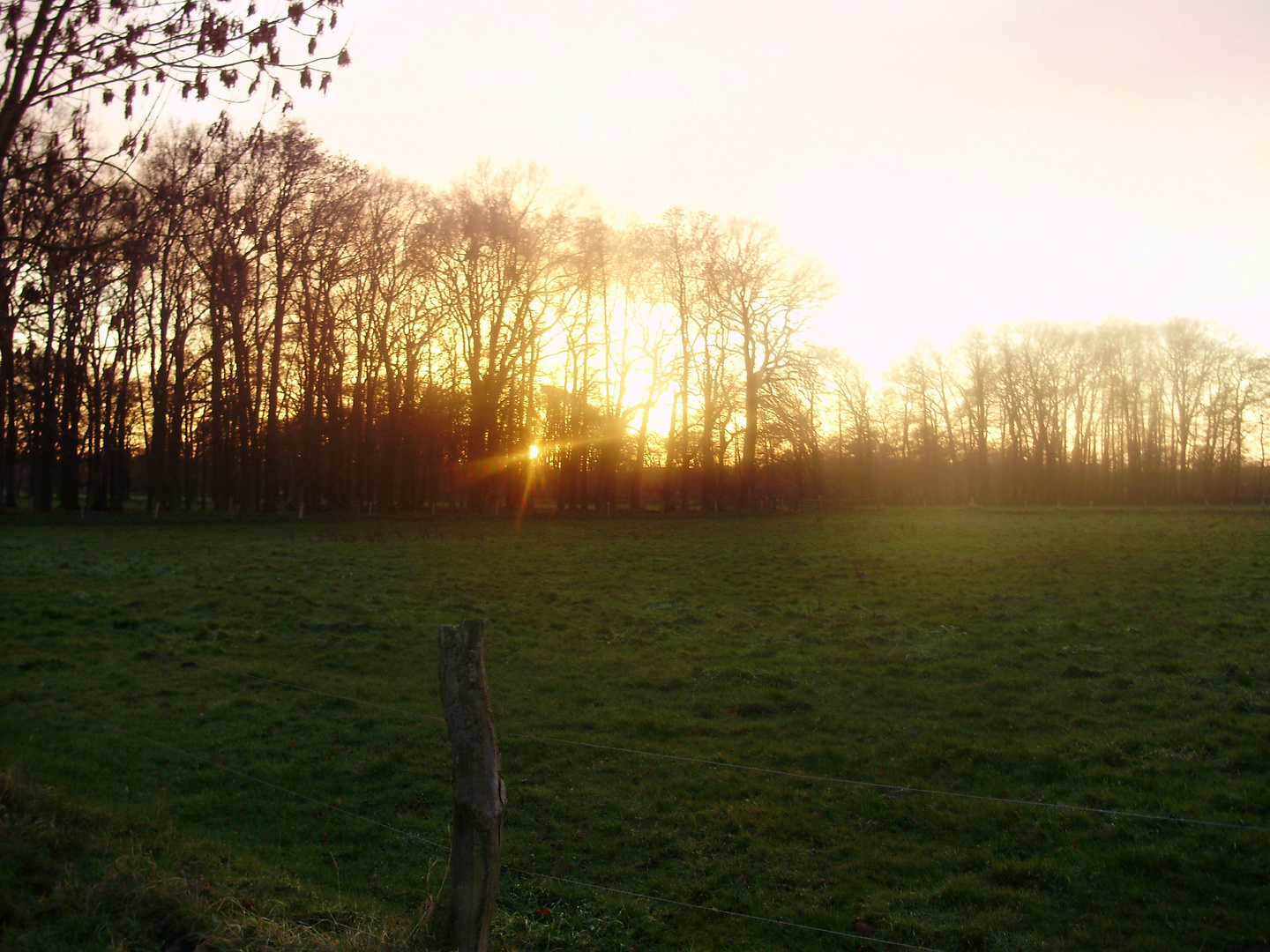 Sonnenuntergang 2009