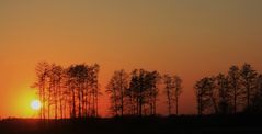 Sonnenuntergang 2011 ......