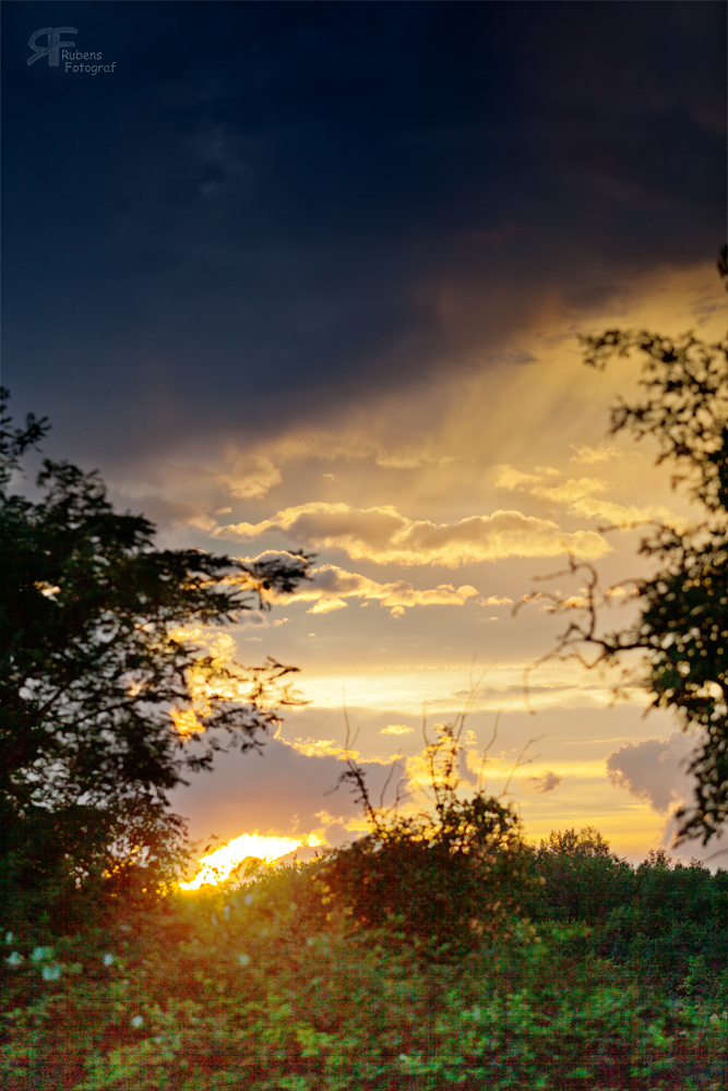 Sonnenuntergang 2014-08-08