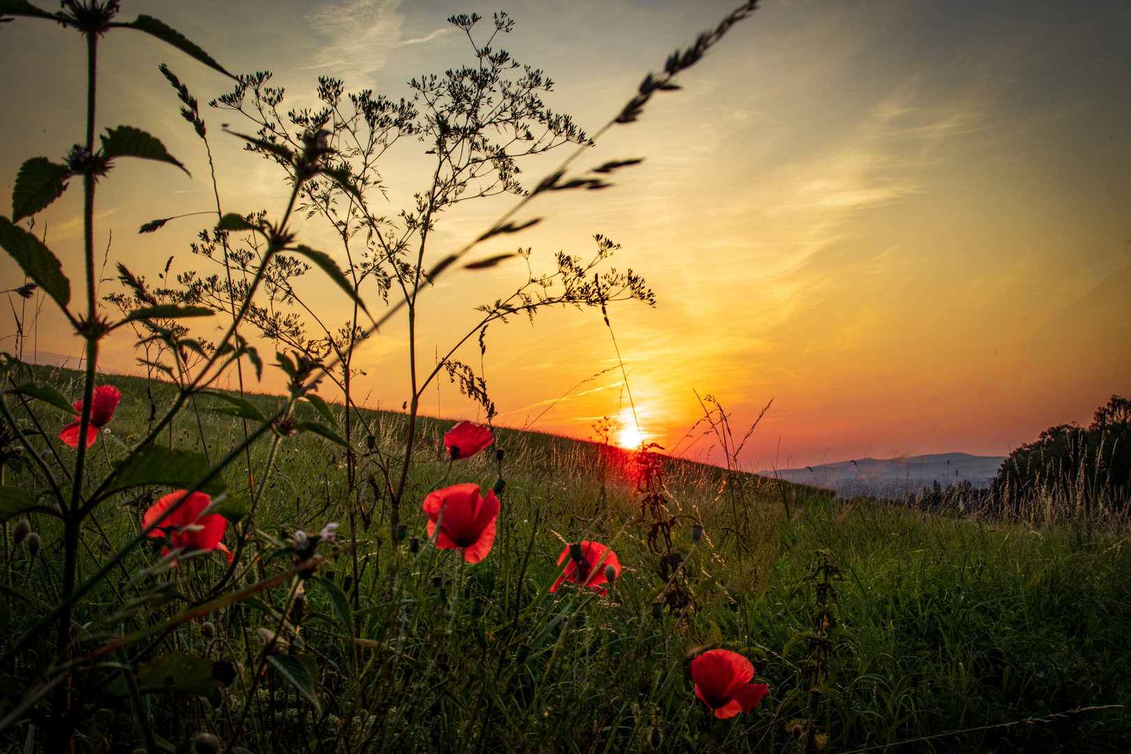 Sonnenuntergang