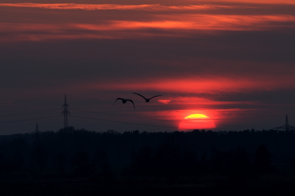 Sonnenuntergang 22.02.2011