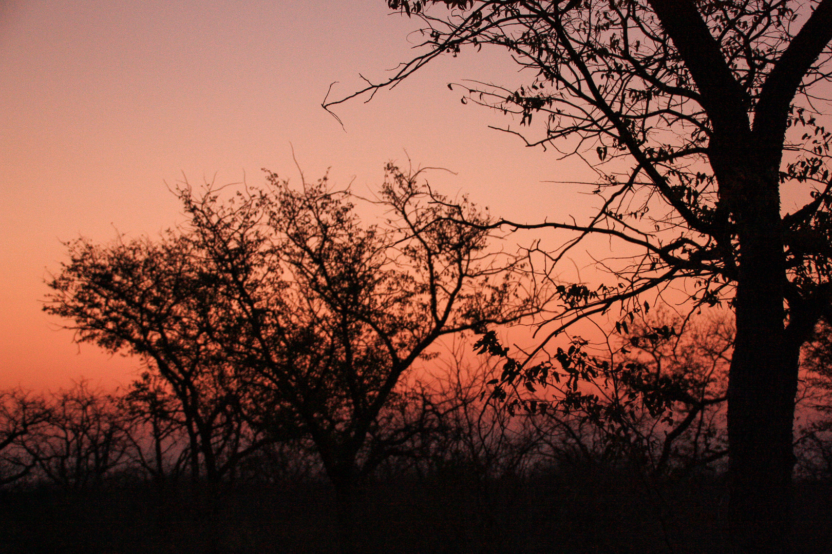 Sonnenuntergang