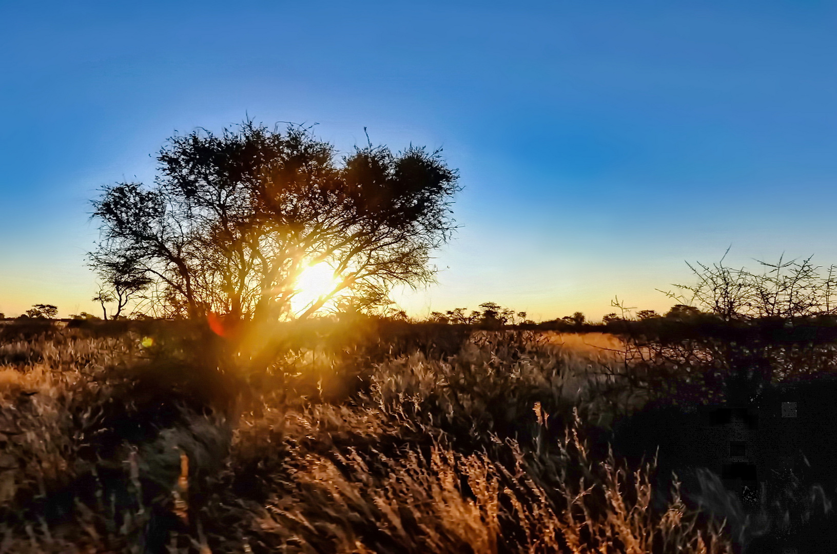 Sonnenuntergang 