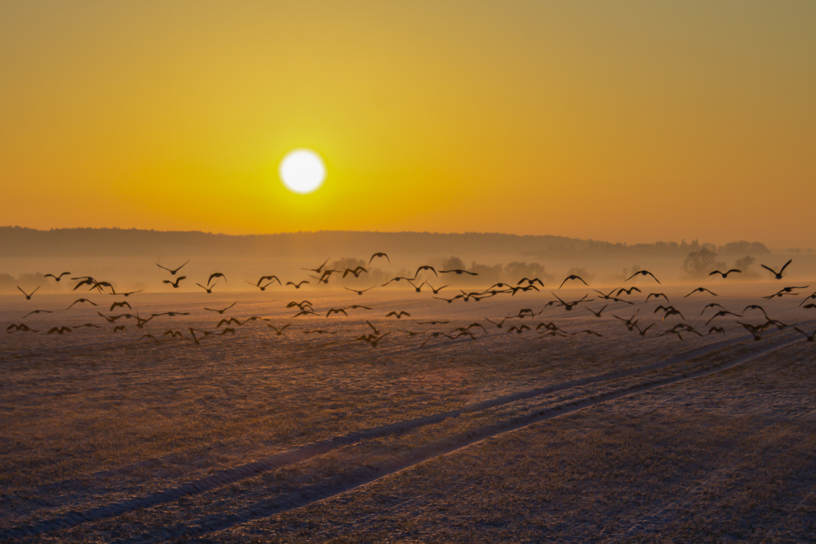 Sonnenuntergang