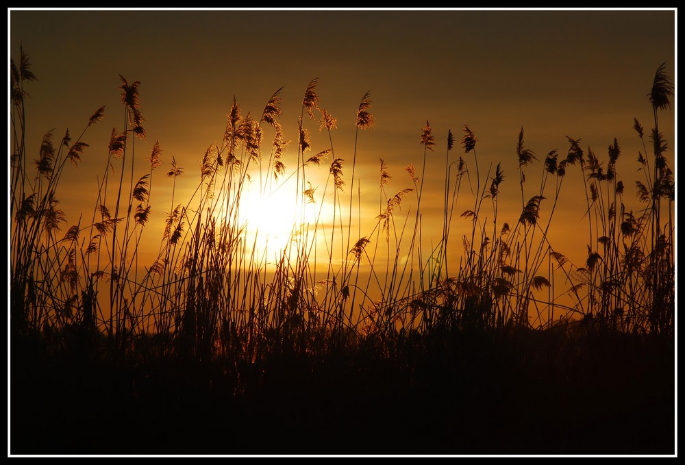 Sonnenuntergang.