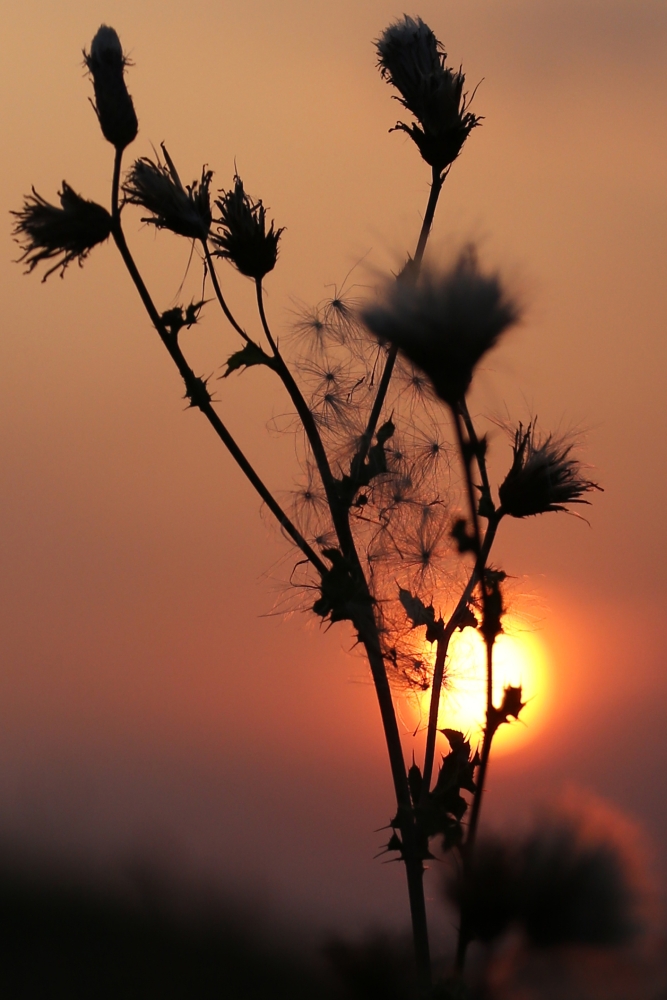 Sonnenuntergang