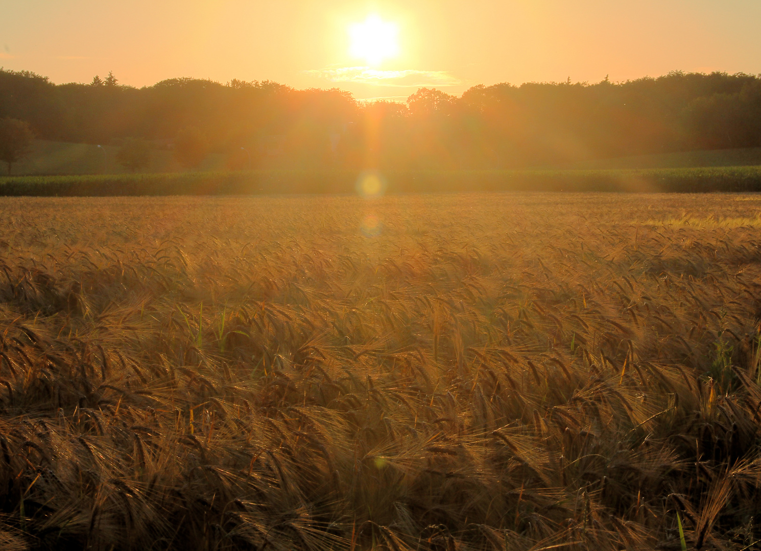 Sonnenuntergang