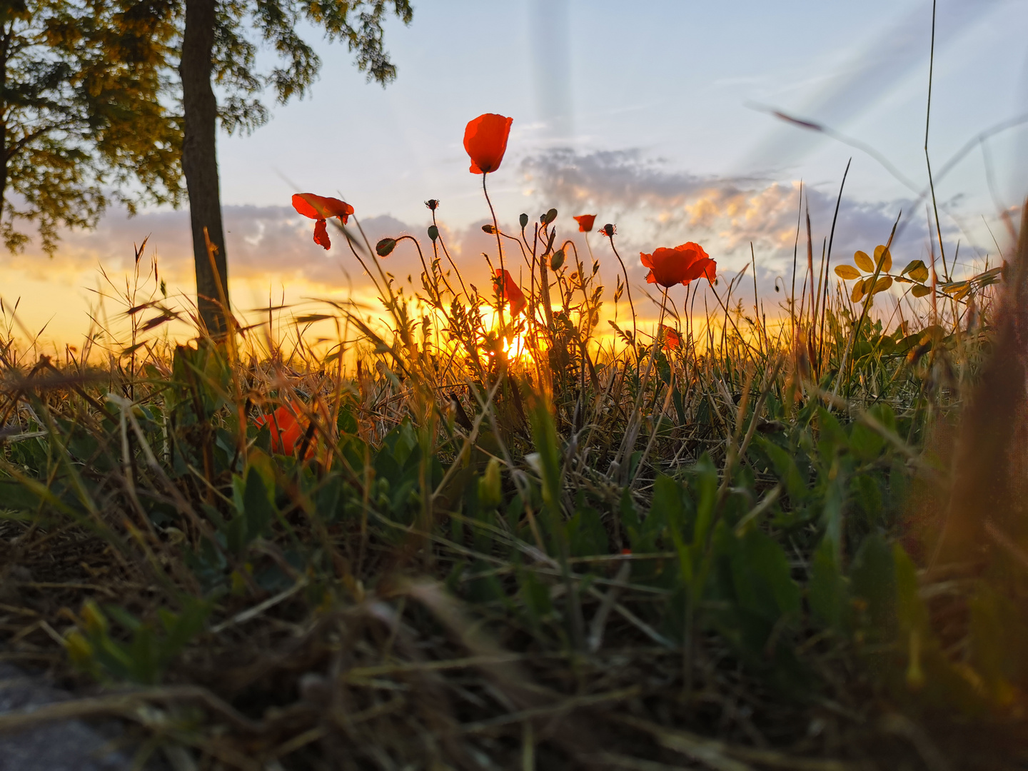 Sonnenuntergang 