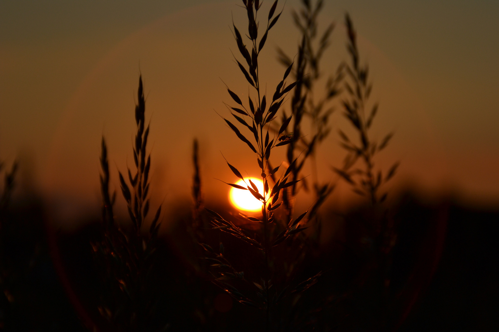 Sonnenuntergang