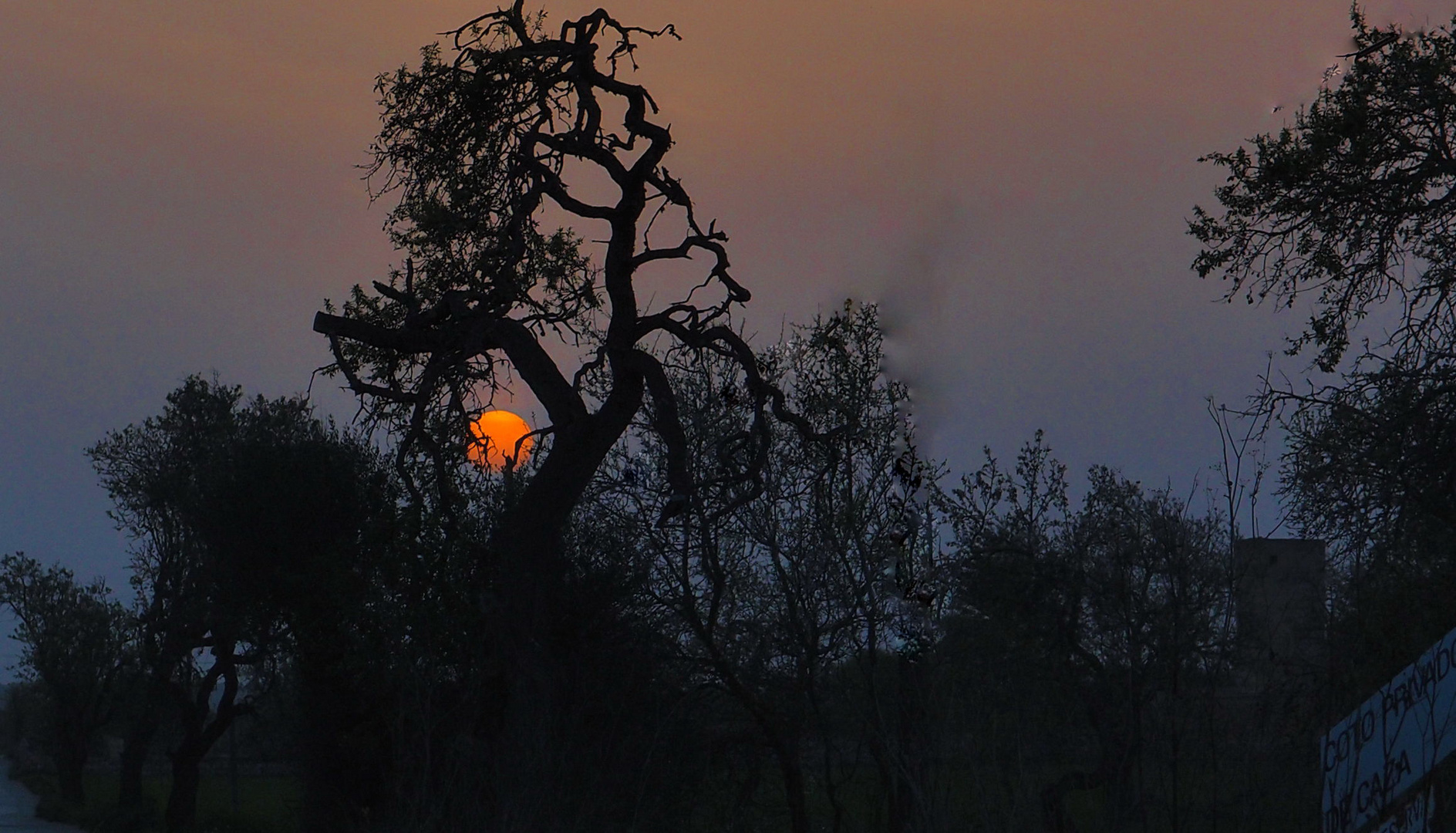 Sonnenuntergang