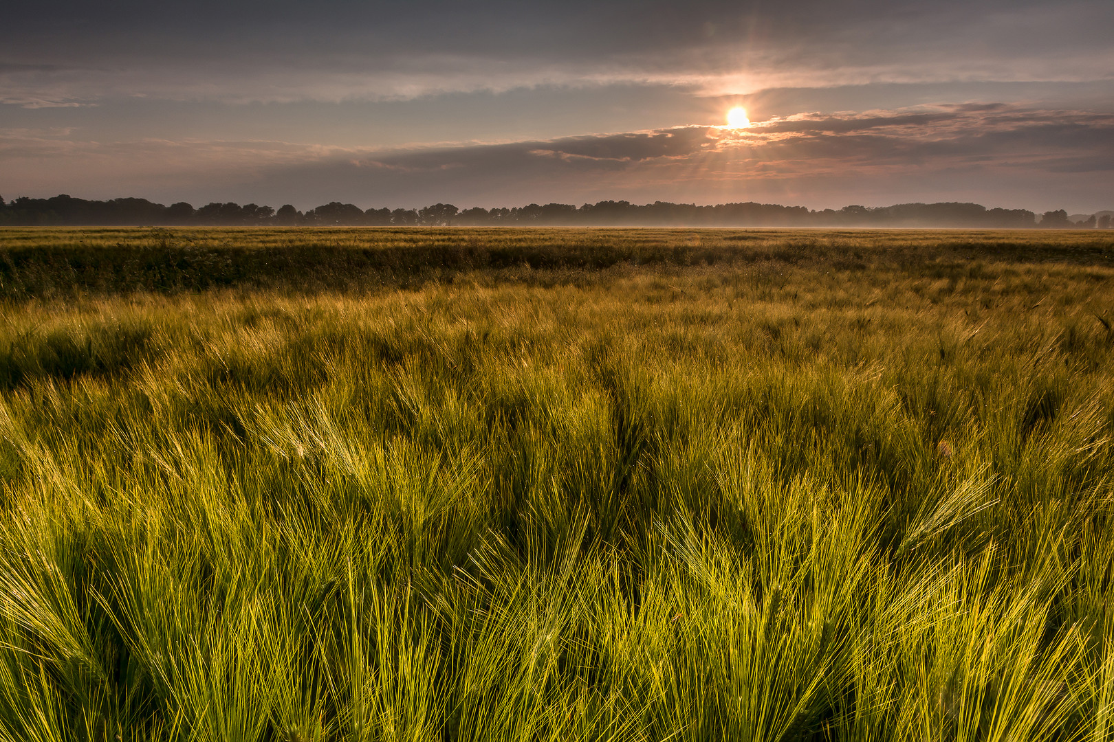 Sonnenuntergang