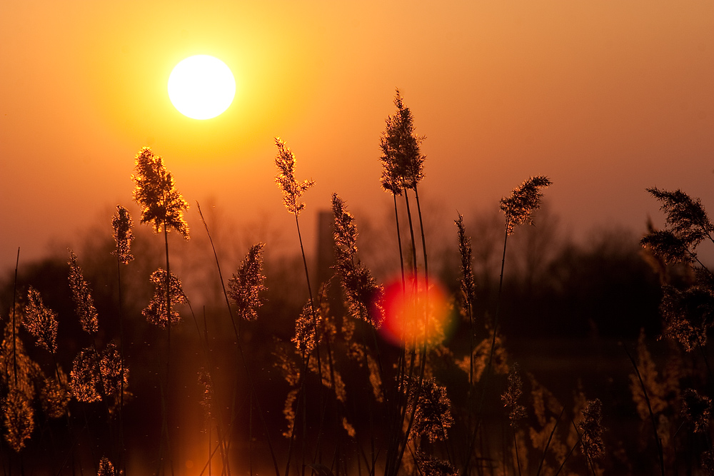 Sonnenuntergang