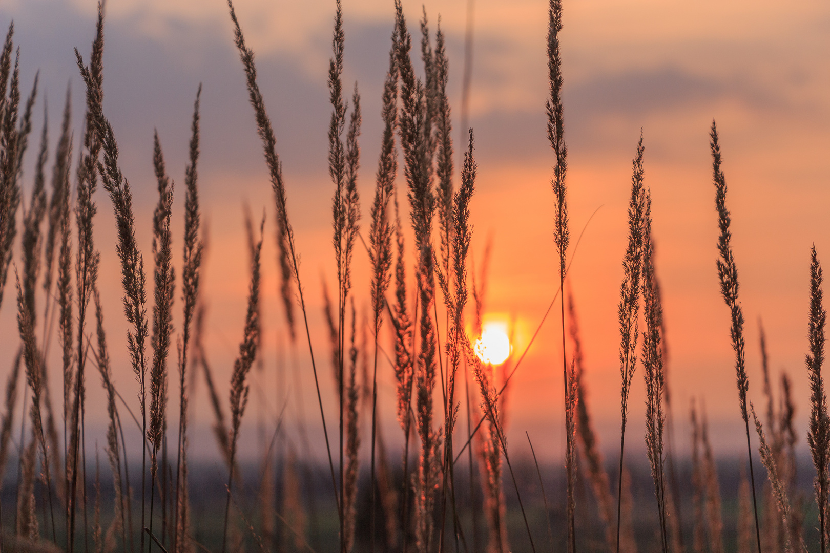 Sonnenuntergang-3